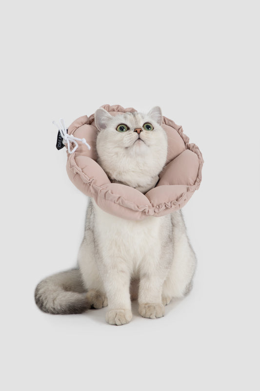 Flower Shaped Adjustable Pet Recovery Collar/Elizabeth Collar - Chestnut Pink