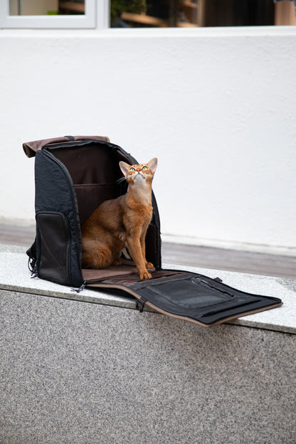 (NEW) HiDream Freedom Go Front Pet Carrier for Cats & Small Dogs (Black)