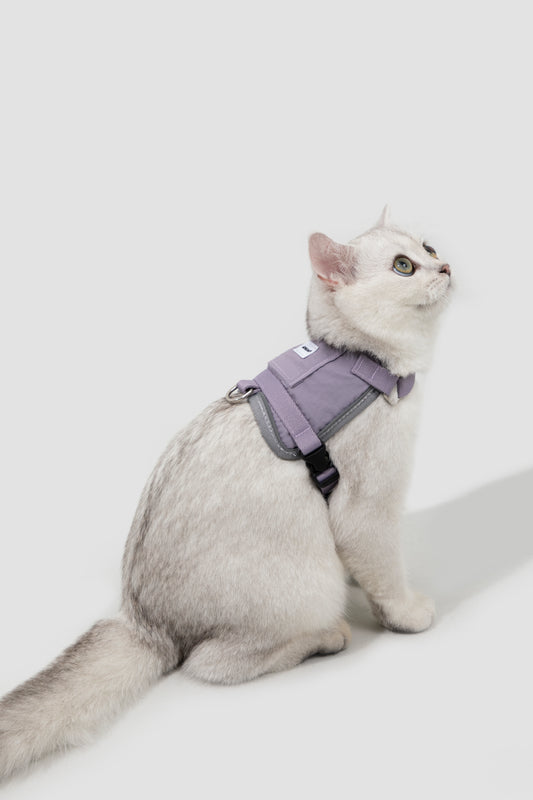 Valley Series Cat Vest Dog Harness Dog Leash Set - Purple
