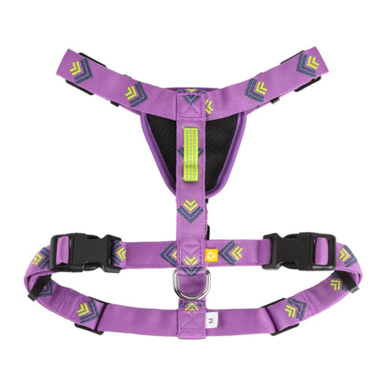 Northern Lights Dog Harness