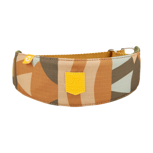 Cloudbeam Soft Martingale Collar