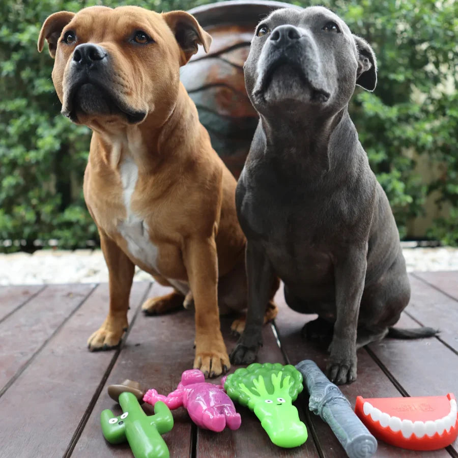 Happy Staffy Co. Cactus Cowboy Dog Chew Toy
