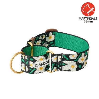 iCANDOR Smooth Martingale Collar 38mm
