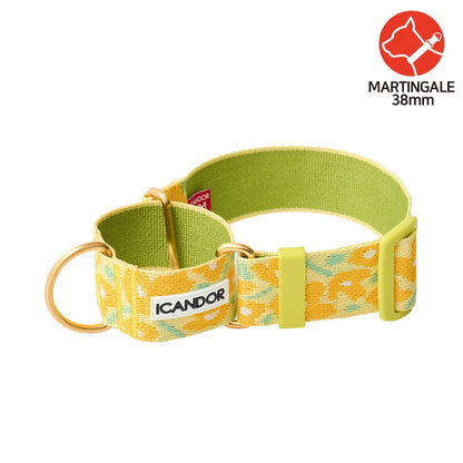 iCANDOR Smooth Martingale Collar 38mm