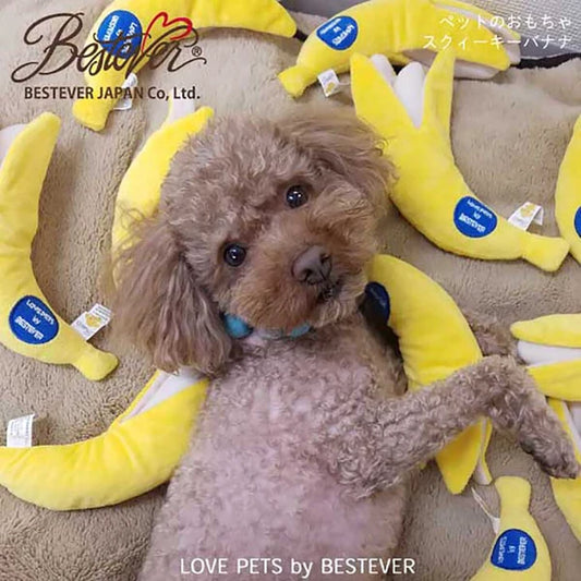 Squeaky Banana Dog Toy | BESTEVER Love Pets