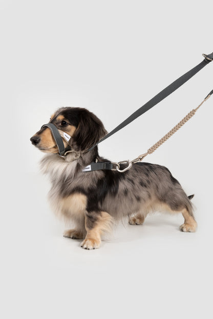 HiDream Head Control Halter | Multi-Function Training Dog Muzzle