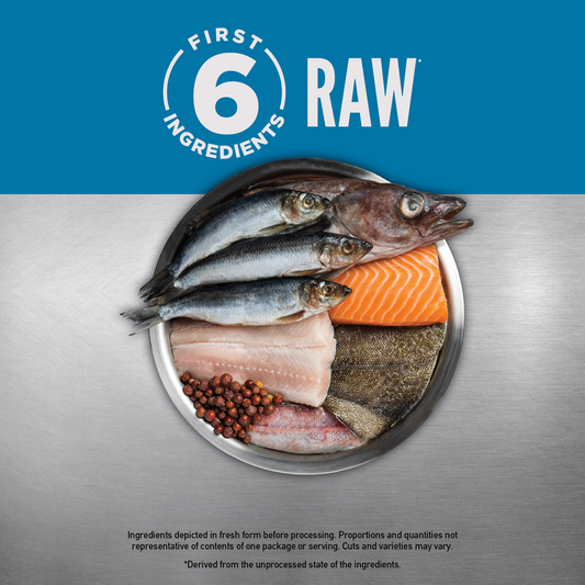 ORIJEN™ SIX FISH DOG 2kg