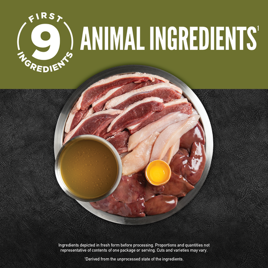ORIJEN™ CHUNKS & SHREDS - DUCK & LIVER ENTRÉE 85g