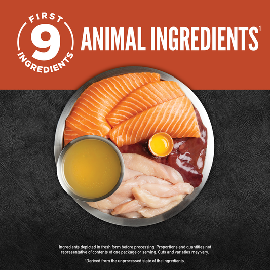 ORIJEN™ CHUNKS & SHREDS - SALMON & CHICKEN ENTRÉE 155g