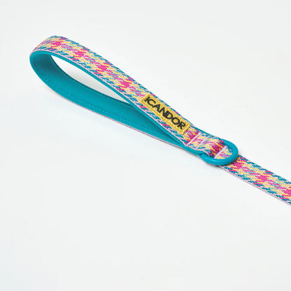 iCANDOR Gentle Leash 1.6m