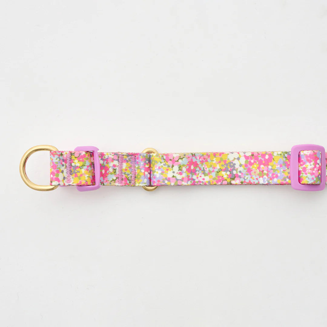 iCANDOR Gentle Collar Dual