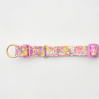 iCANDOR Gentle Collar Dual