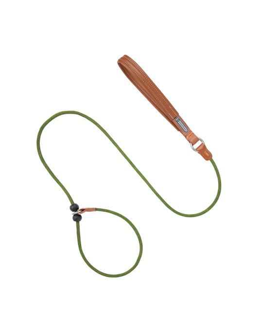 Bobo Series P Dog Leash (150cm)- Green