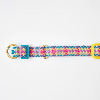 iCANDOR Gentle Collar Dual