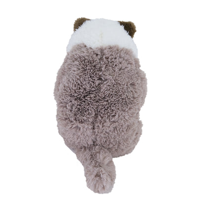 LYING CAT SLEEPING FACE STUFFED TOY M RAGDOLL GYBR