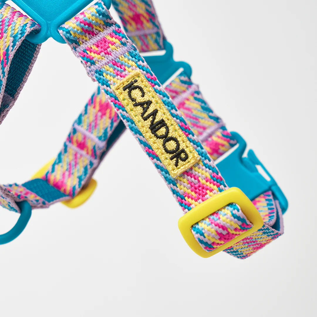 iCANDOR No-Pull Harness_Edinburgh Check