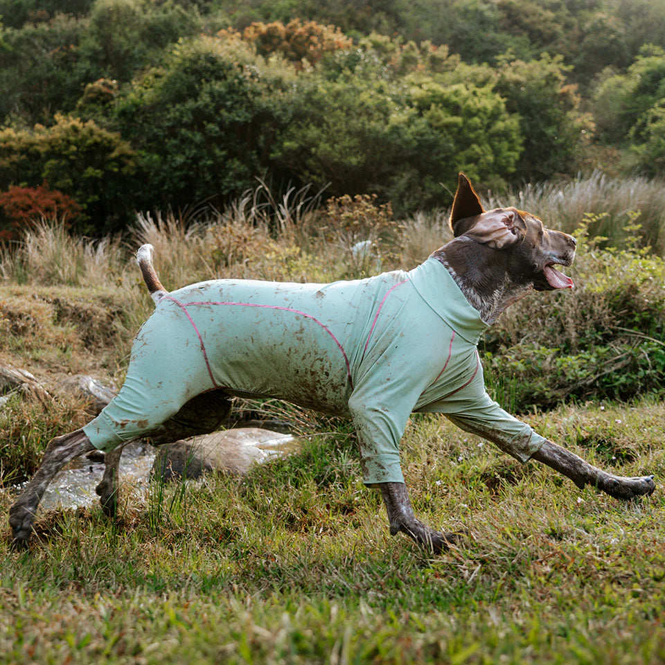 BlackDoggy All-Round Cooling Jacket 25