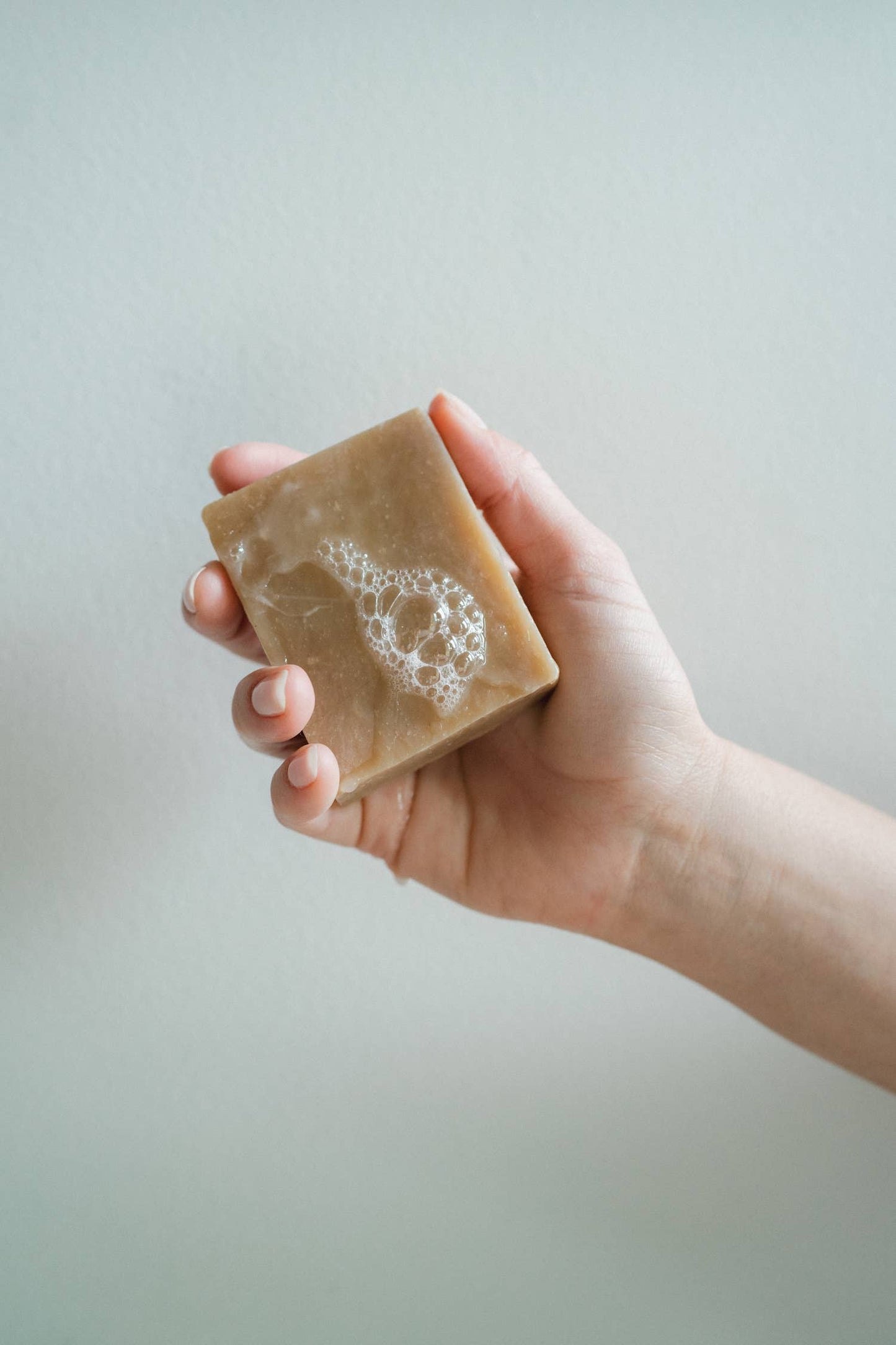Springland Dog Shampoo Bar - Nourishing, Lavender + Rosemary