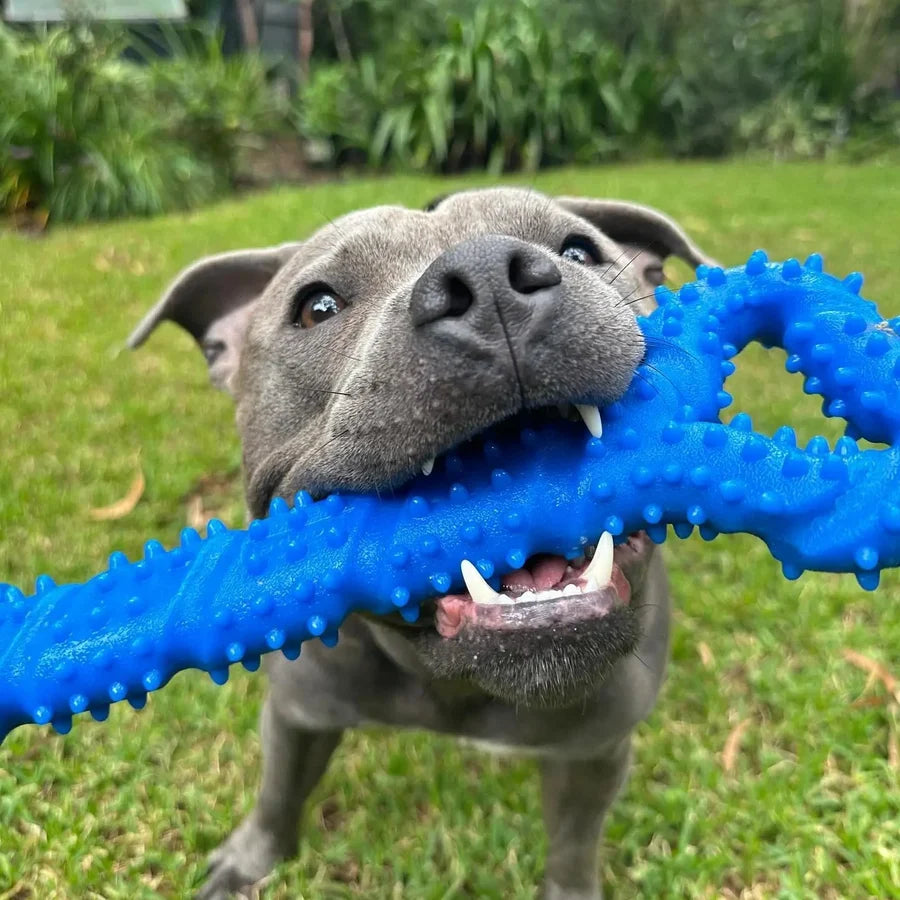 Happy Staffy Co. The Tommy Tug Handle Dog Tug Toy
