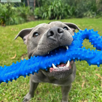 Happy Staffy Co. The Tommy Tug Handle Dog Tug Toy