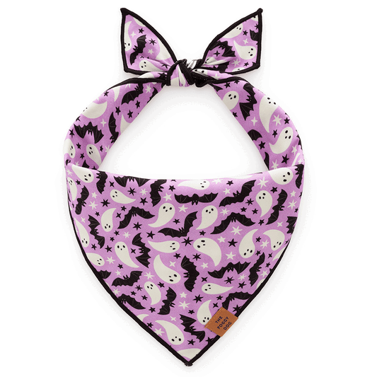 The Foggy Dog Spooky Season Reversible Dog Bandana
