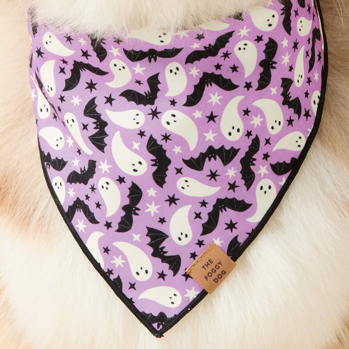 The Foggy Dog Spooky Season Reversible Dog Bandana