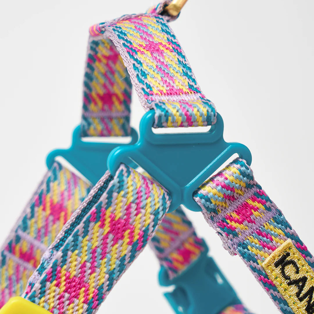 iCANDOR No-Pull Harness_Edinburgh Check