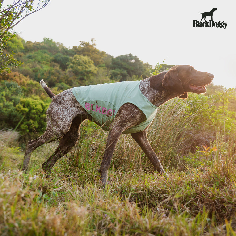 BlackDoggy Cooling Tank I – Cooling Vest