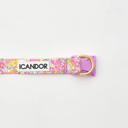 iCANDOR Gentle Collar Dual