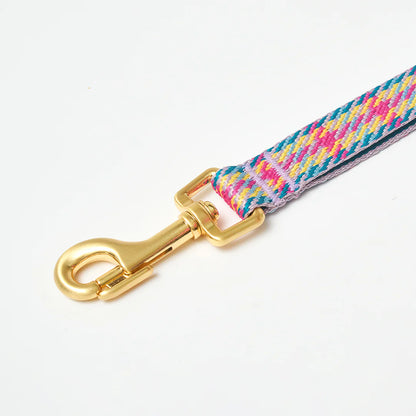 iCANDOR Gentle Leash 1.6m
