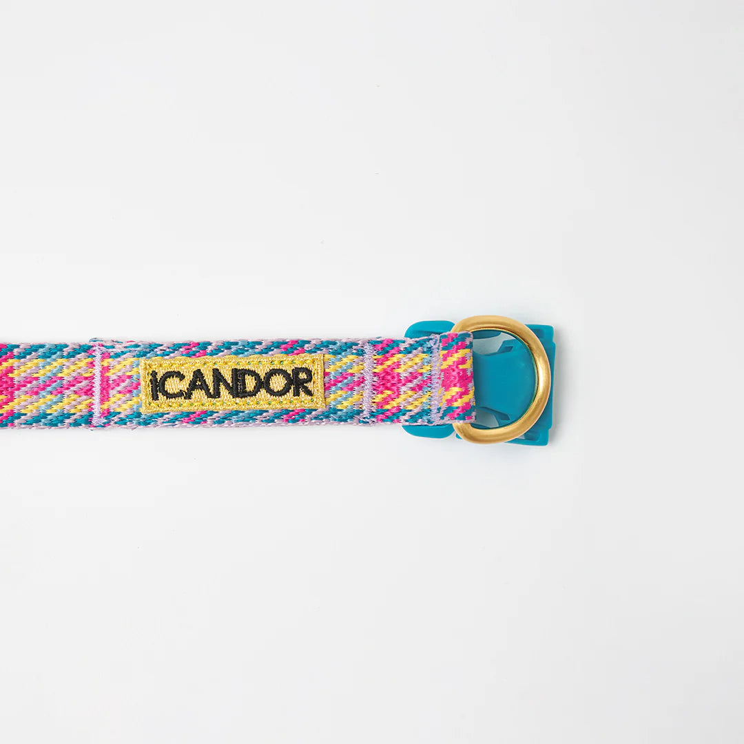 iCANDOR Gentle Collar Dual