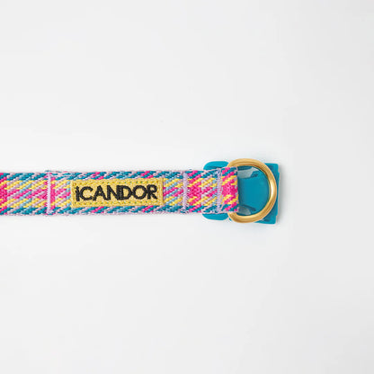 iCANDOR Gentle Collar Dual