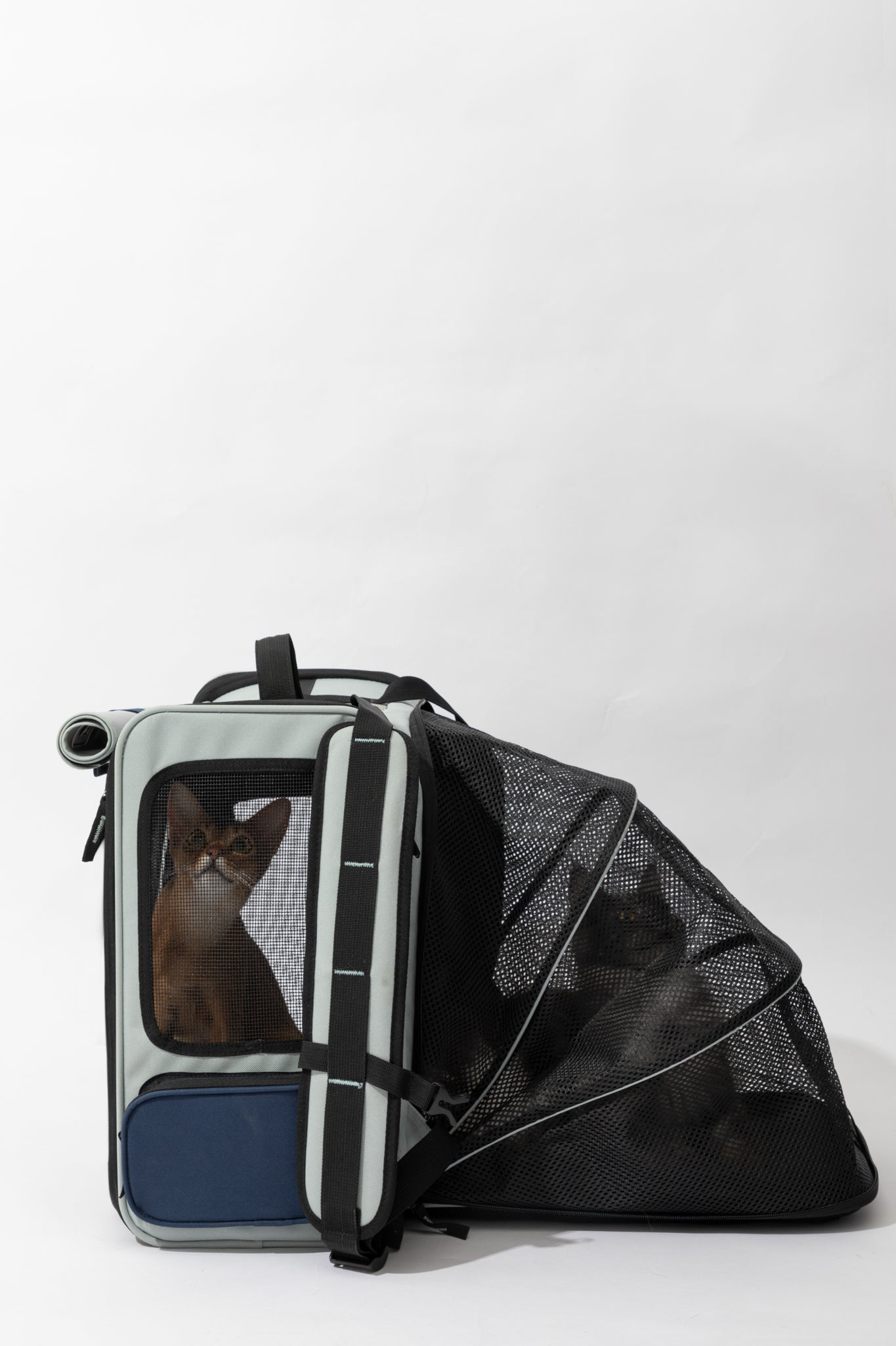 Pet Tent Backpack - Volcanic Grey