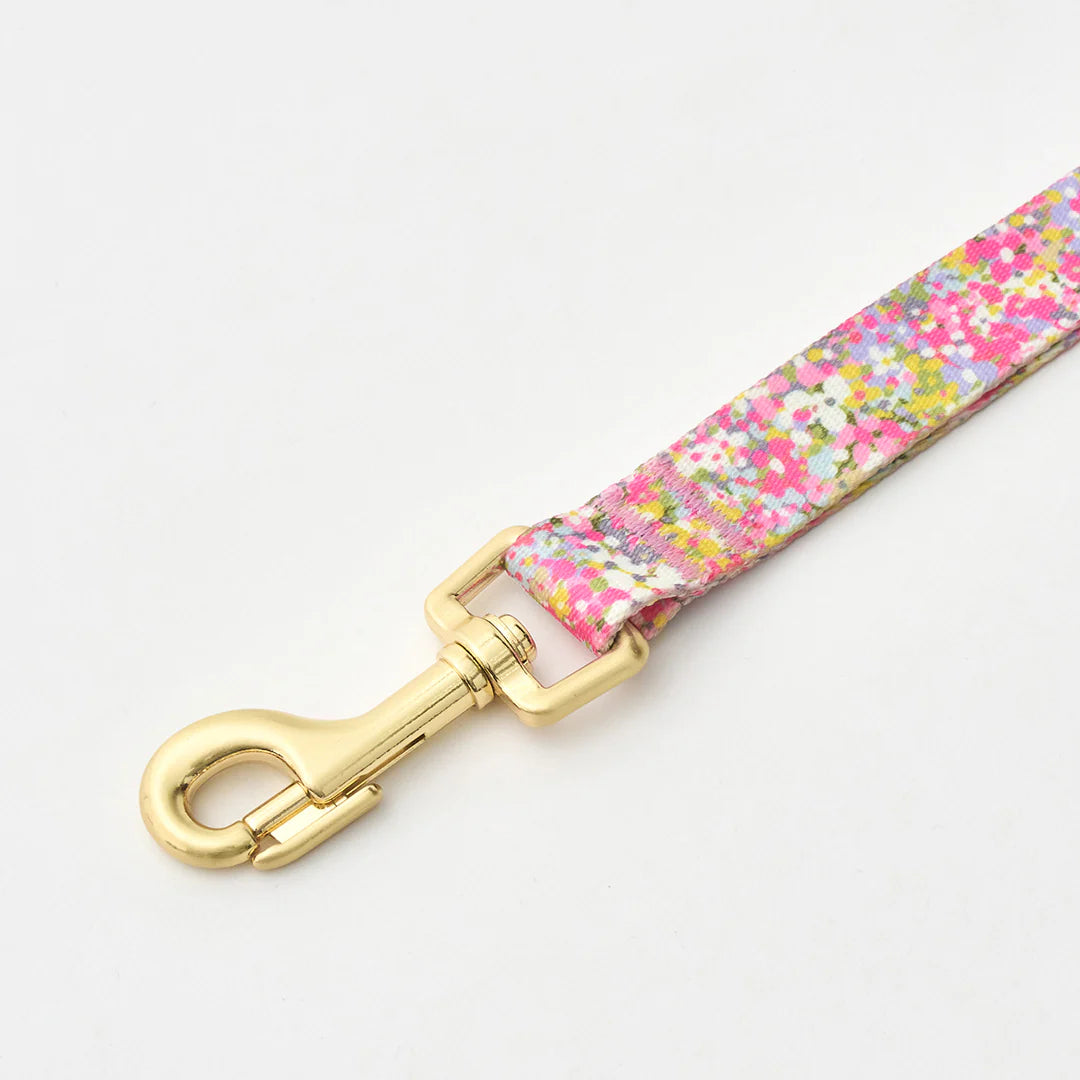 iCANDOR Gentle Leash 1.6m