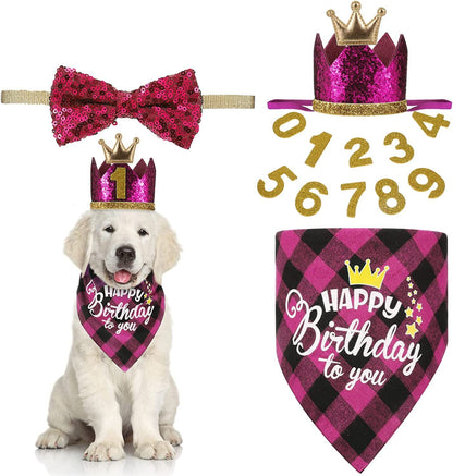 Pet Birthday Plaid Outfit Set