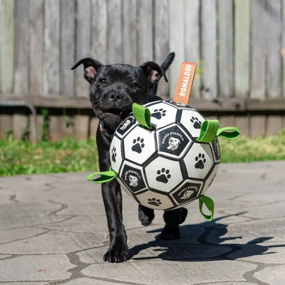 HAPPY STAFFY CO RONALDOG SOCCER BALL