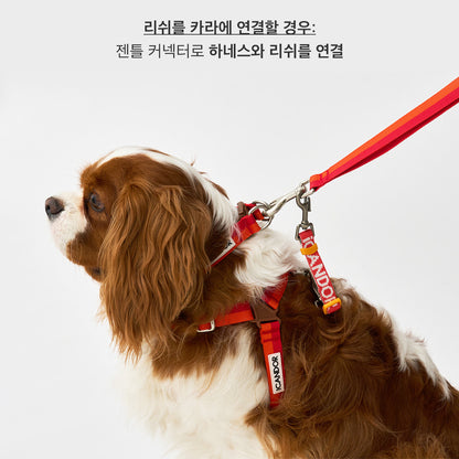 iCANDOR Gentle Connector – Anti-Escape Safety Strap
