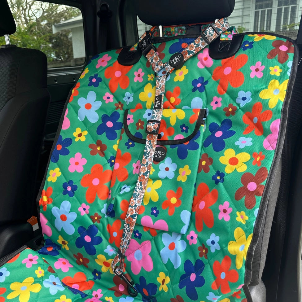 Pablo Headrest Car Restraint