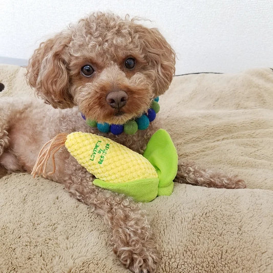 Squeaky Corn Dog Toy | BESTEVER Love Pets