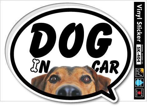 Dog in Car Car Sticker  - Beagle| Waterproof Vinyl Decal