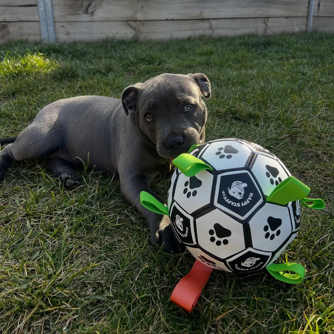 HAPPY STAFFY CO RONALDOG SOCCER BALL