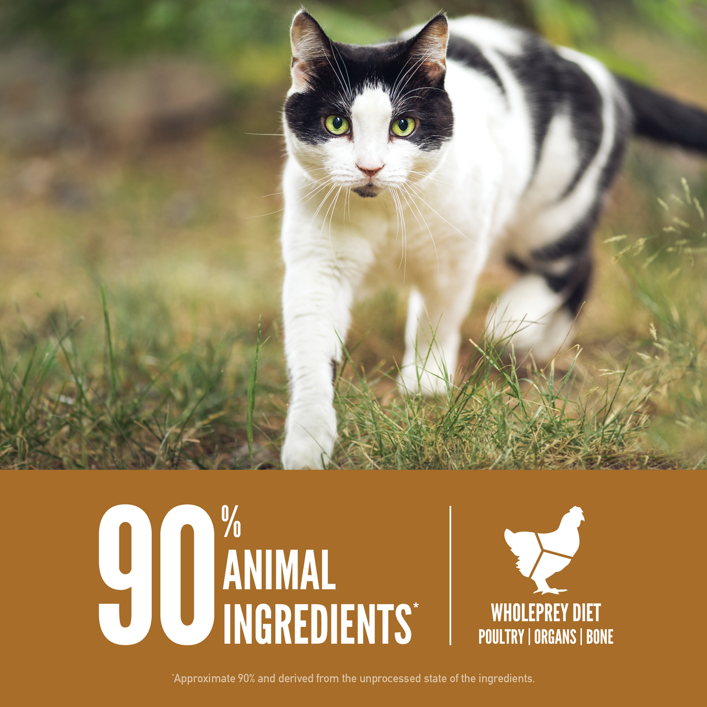 ORIJEN™ ORIGINAL CAT 1.8kg