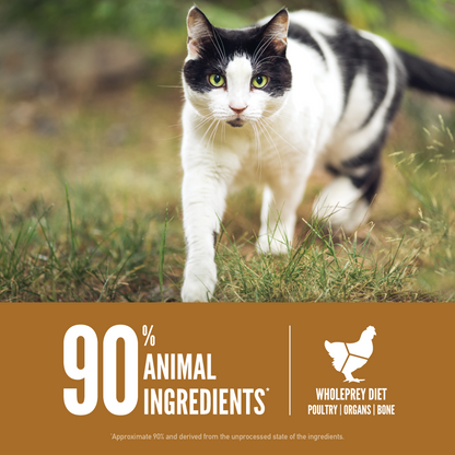 ORIJEN™ ORIGINAL CAT 1.8kg