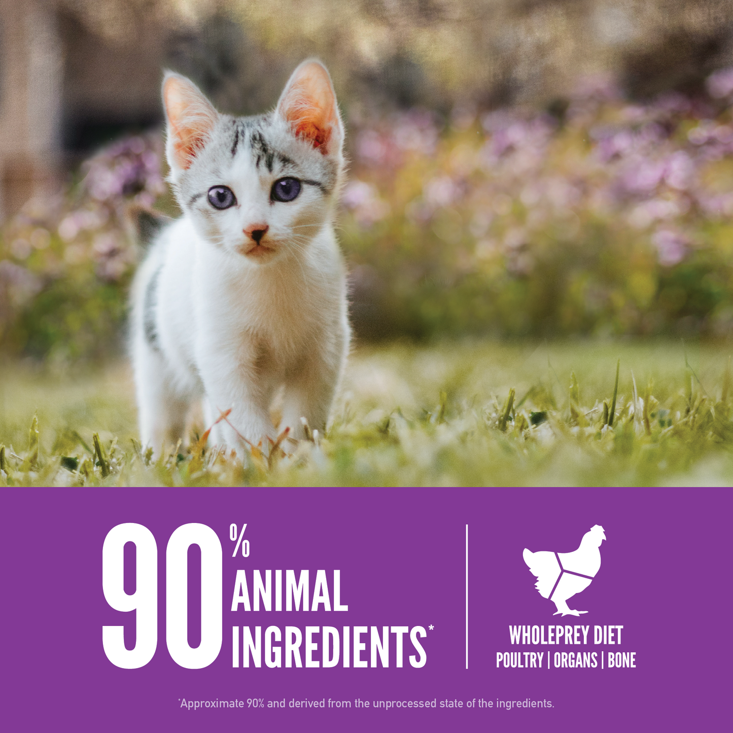 ORIJEN™ KITTEN 1.8kg