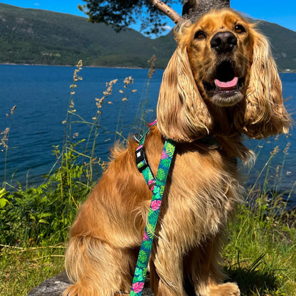 MAX & MOLLY DOG LEASH - TROPICAL