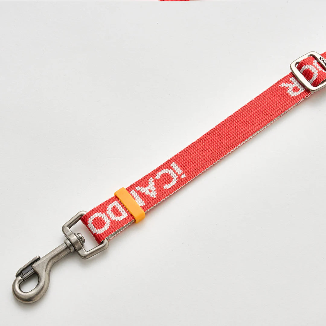 iCANDOR Gentle Leash Dual 1.1-1.5m- iCANDOR Signature