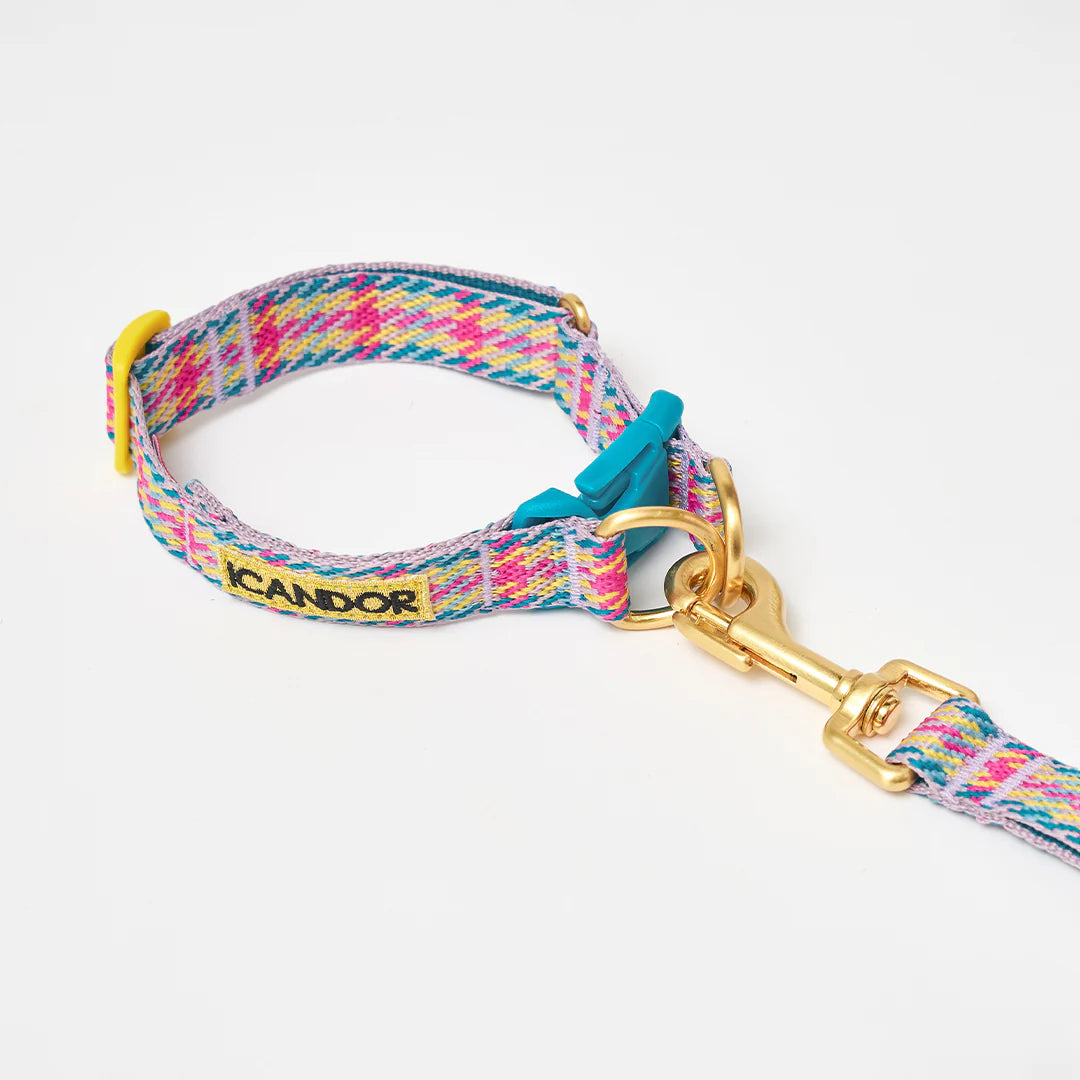 iCANDOR Gentle Collar Dual