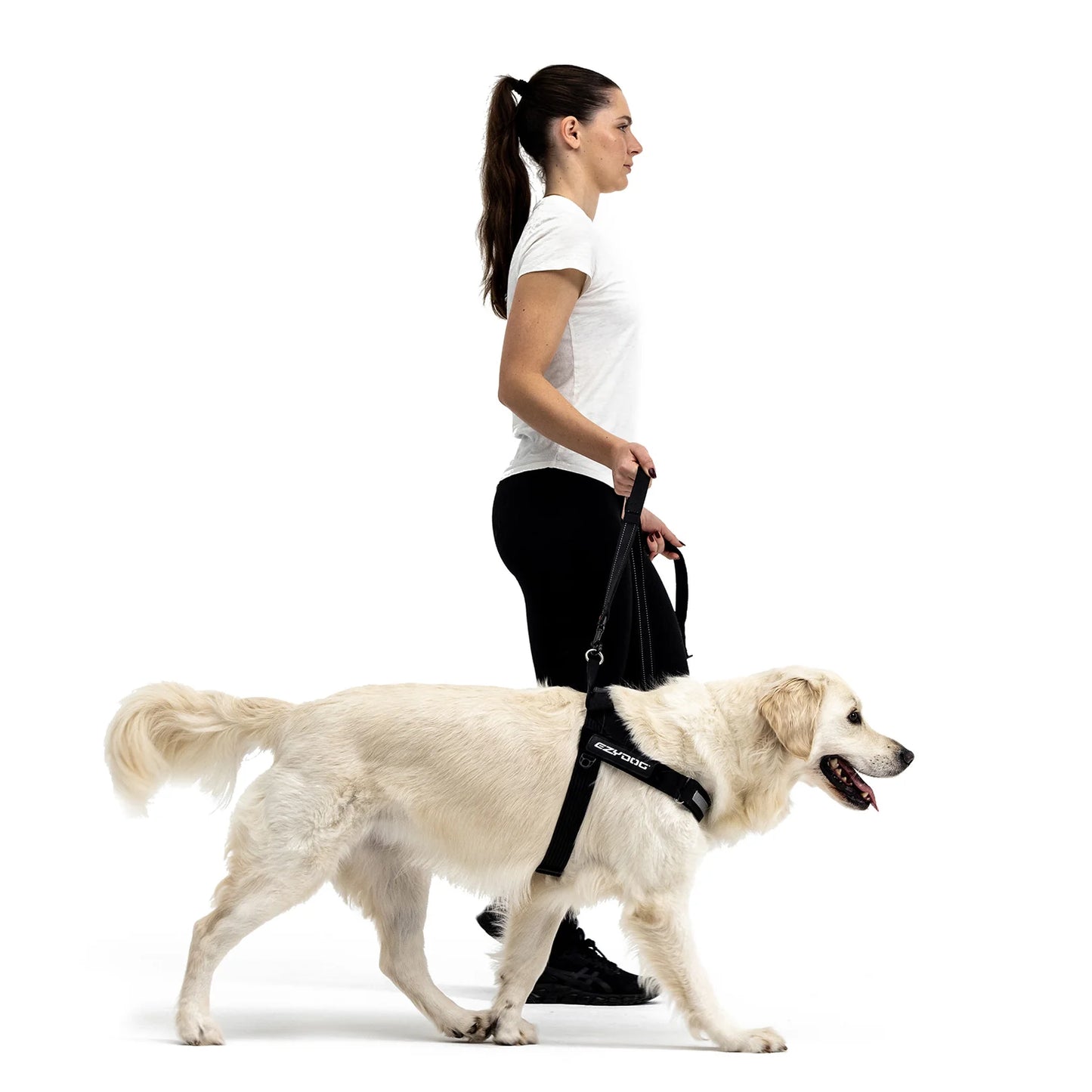 Ezydog Express Harness - Black