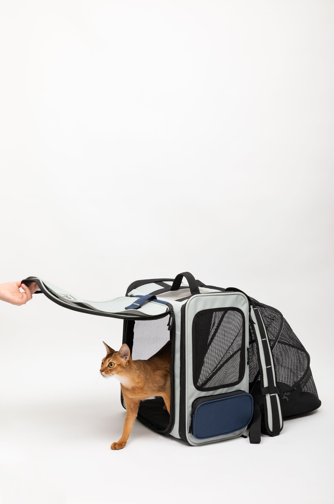 Pet Tent Backpack - Volcanic Grey