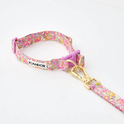 iCANDOR Gentle Collar Dual
